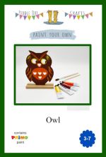 Puddle Day Crafts - Paint your Own -   Owl Kit